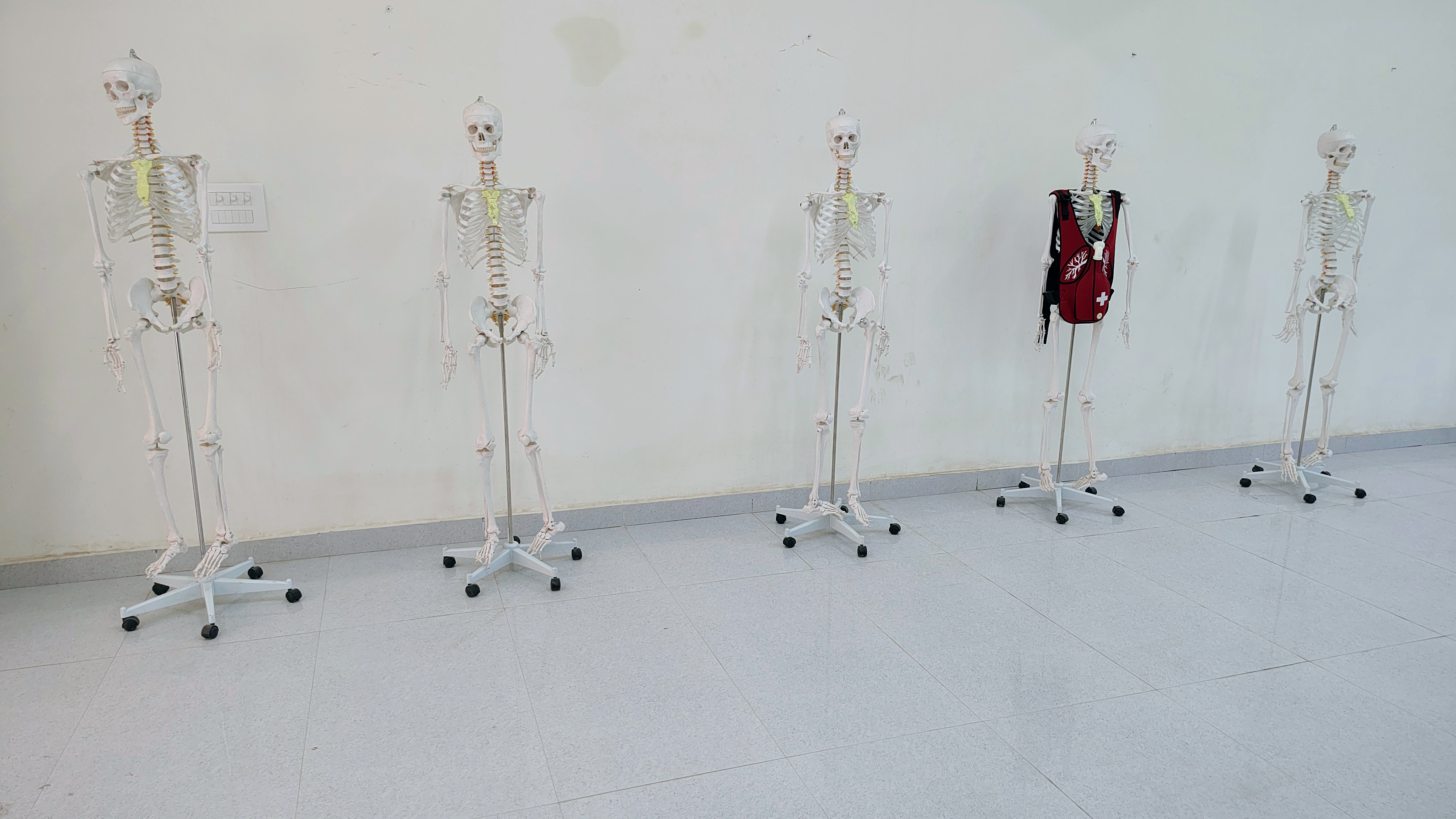 Anatomy Department