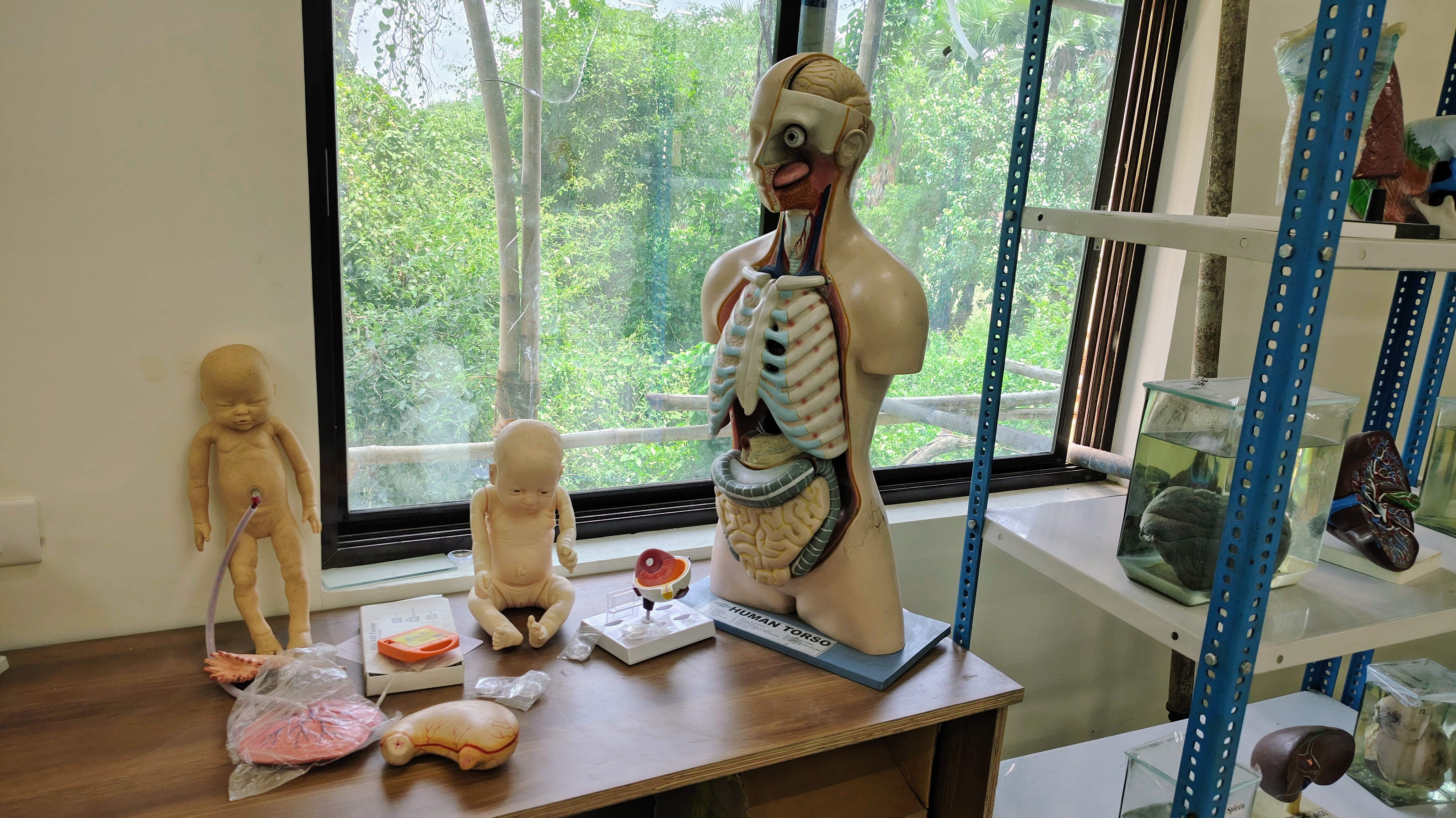 Anatomy Department