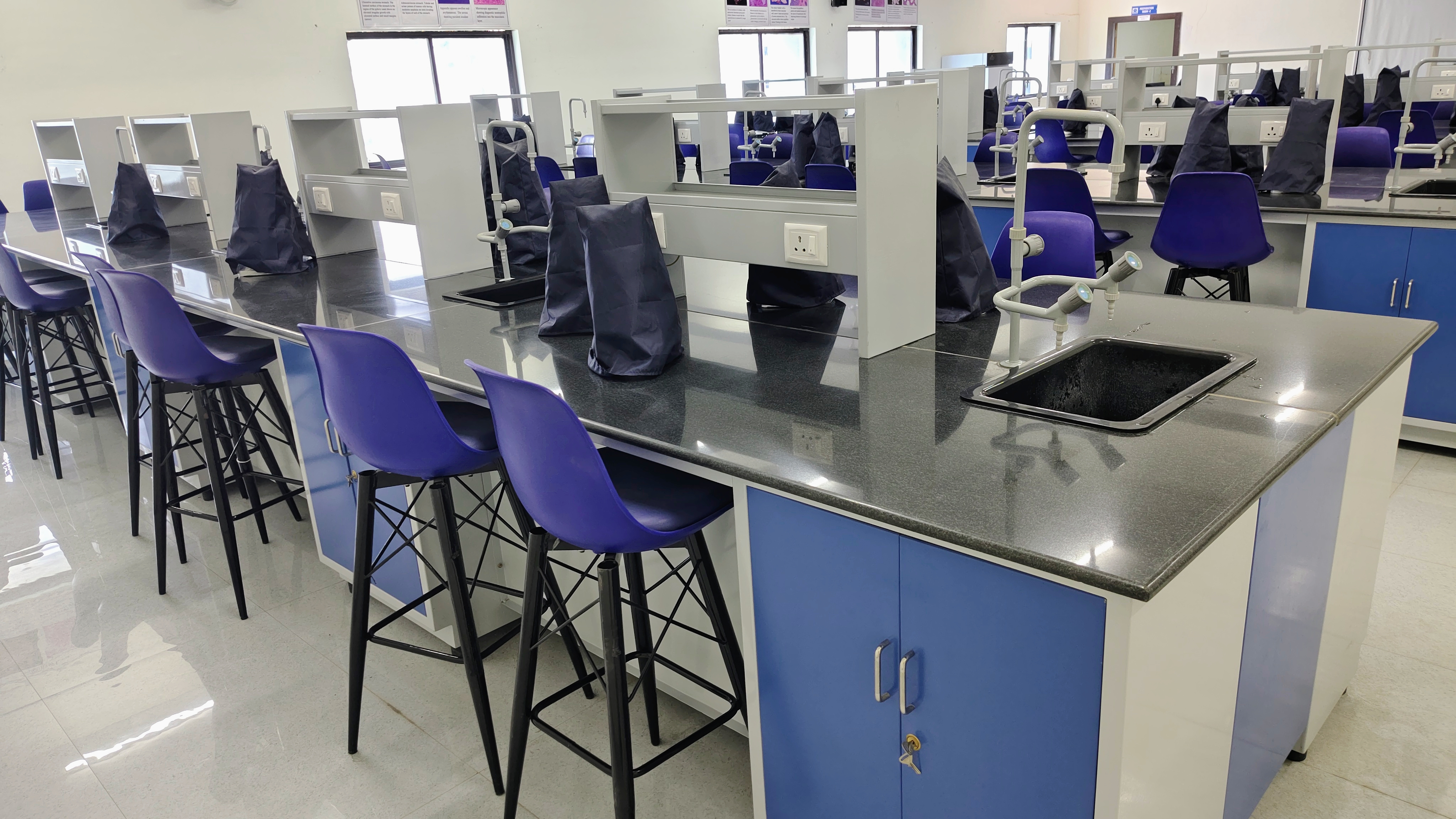 Anatomy Department