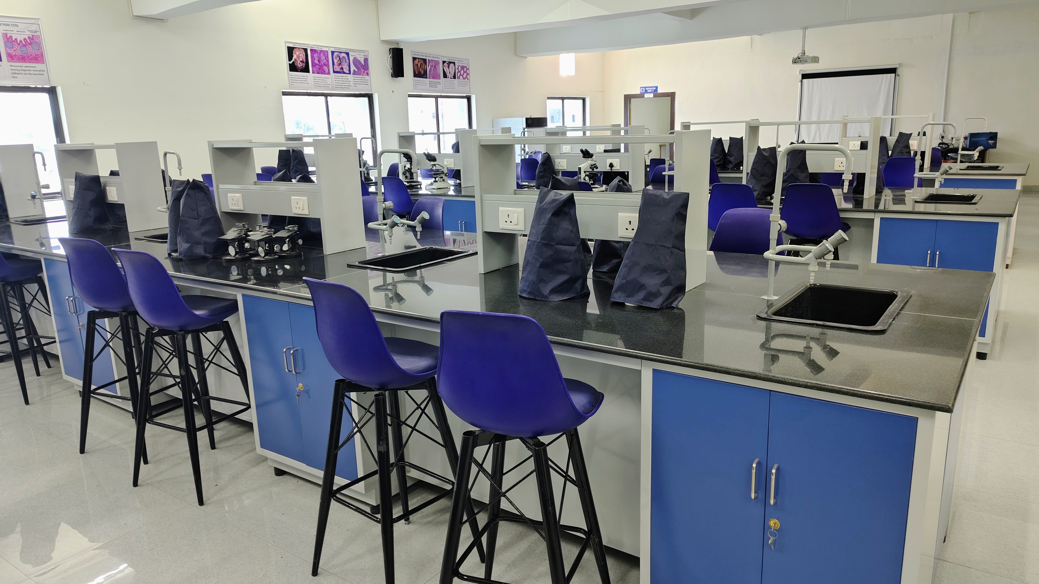 Anatomy Department